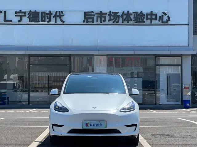 Tesla Model Y — Фото автомобиля 2