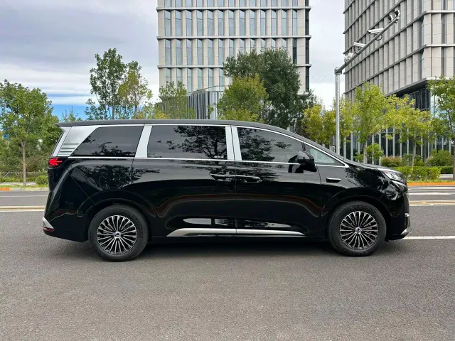 Denza D9 — Фото автомобиля 4