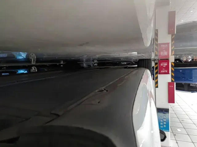Tesla Model 3 2022 Model Rear-Wheel Drive Version — Фото автомобиля 21