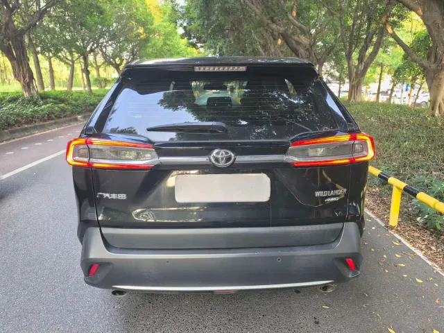 Toyota Wildlander — Фото автомобиля 4