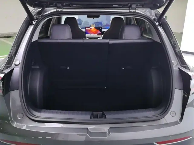 Geely Starry Wish — Фото автомобиля 4