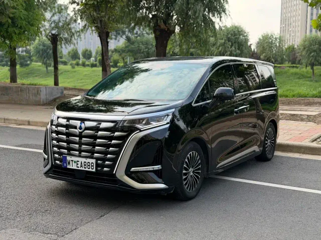 Фотография автомобиля — Denza D9