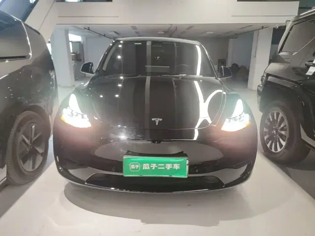 Tesla Model Y — Фото автомобиля 2