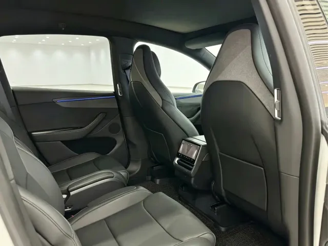 Tesla Model Y L — Фото автомобиля 13