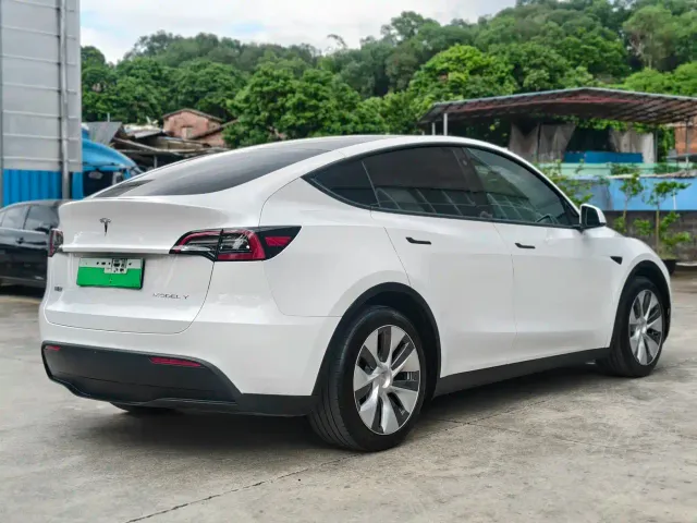 Tesla Model Y — Фото автомобиля 3