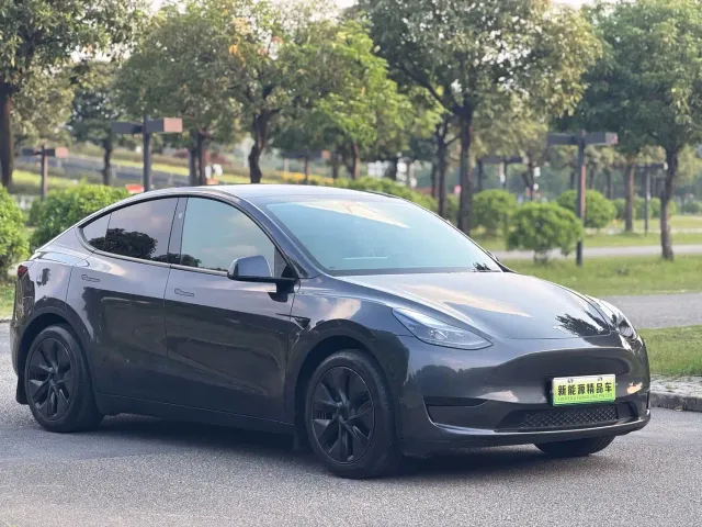 Tesla Model Y — Фото автомобиля 2