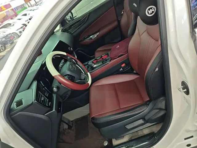 Lexus NX — Фото автомобиля 14