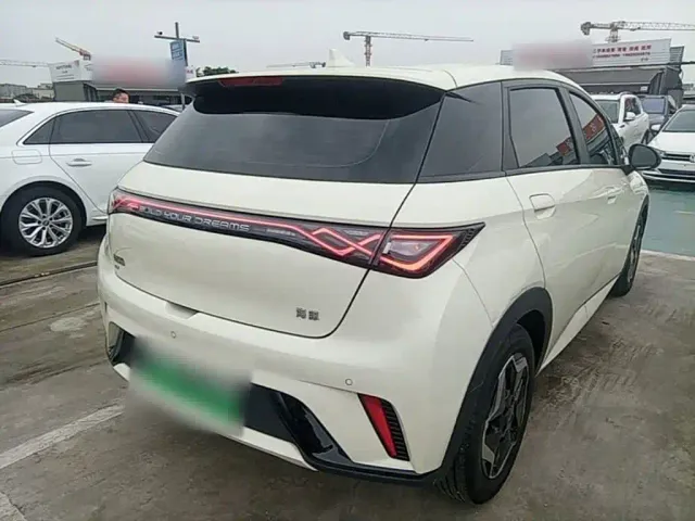 BYD Dolphin — Фото автомобиля 6