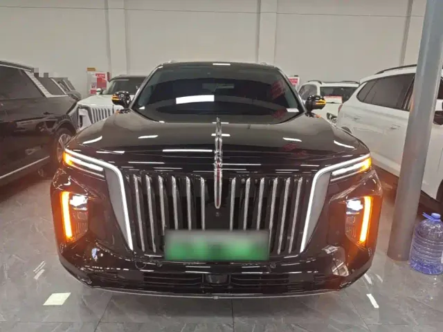 Hongqi E-HS9 — Фото автомобиля 2