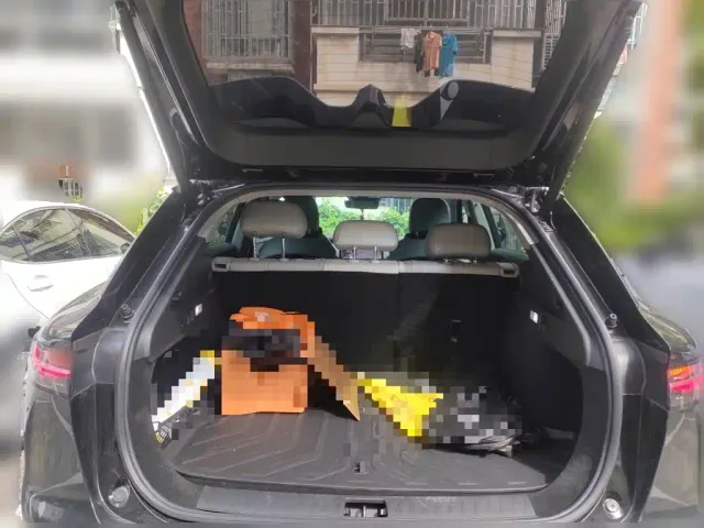Voyah Auto Voyah Zhiyin 2024 Long Range Smart Edition — Фото автомобиля 9