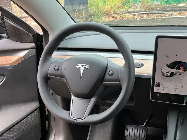 Tesla Model 3 — Фото автомобиля 10