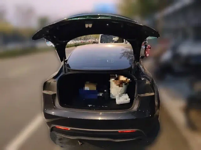 Tesla Model 3 — Фото автомобиля 20