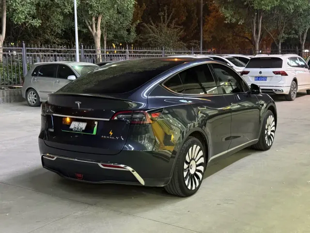 Tesla Model Y — Фото автомобиля 2