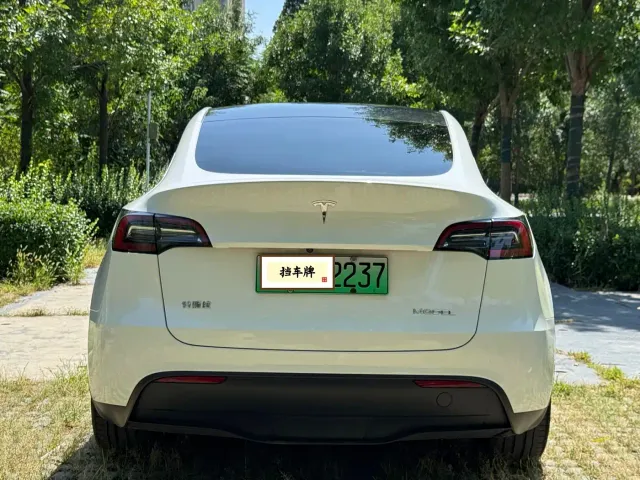 Tesla Model Y — Фото автомобиля 17