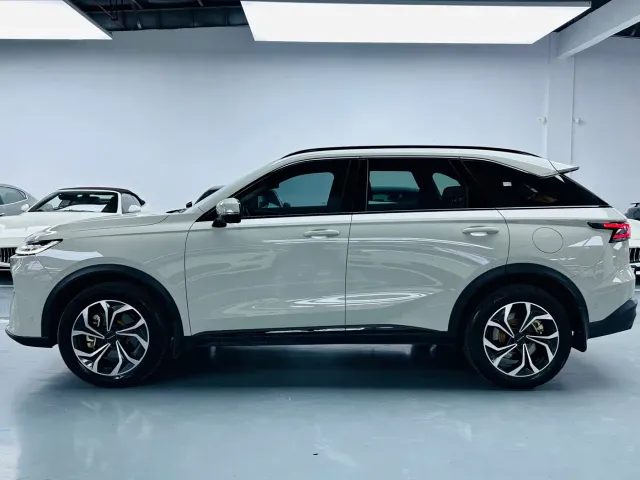 Haval Xiaolong MAX — Фото автомобиля 12