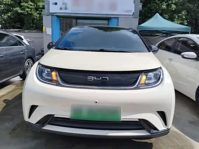 BYD Dolphin — Фото автомобиля 2