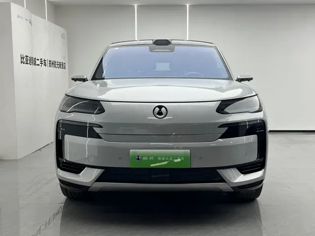 Denza N9 — Фото автомобиля 2