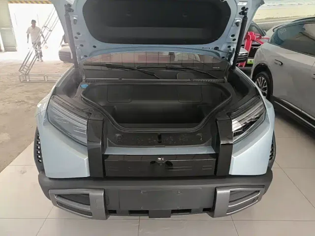 BYD FangChengBao Titanium 3 — Фото автомобиля 19