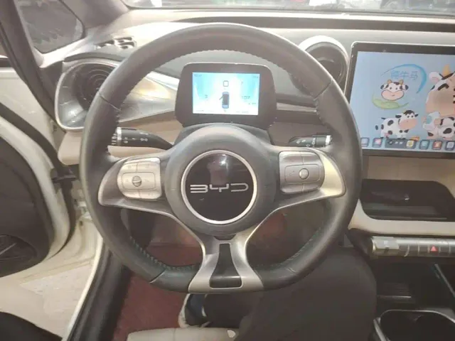 BYD Dolphin — Фото автомобиля 10