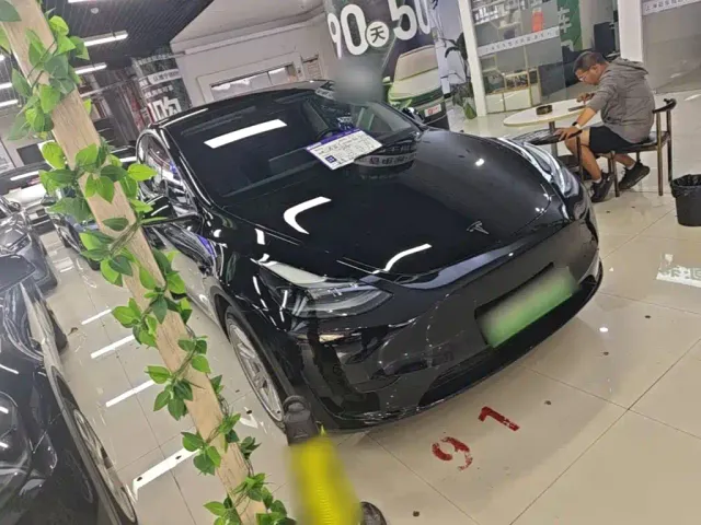 Tesla Model Y — Фото автомобиля 3