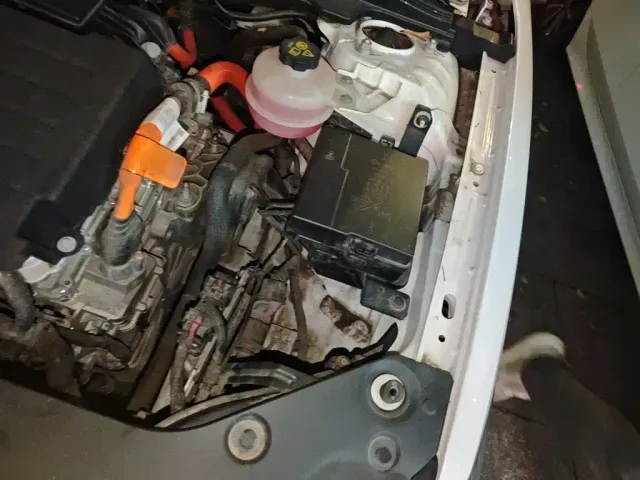 BYD Qin PLUS — Фото автомобиля 19
