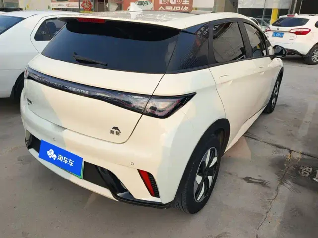 BYD Dolphin — Фото автомобиля 3