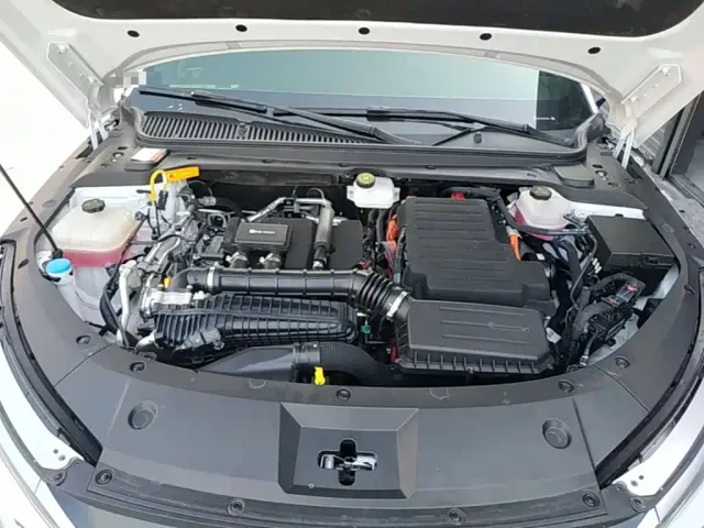 BYD Qin L — Фото автомобиля 19