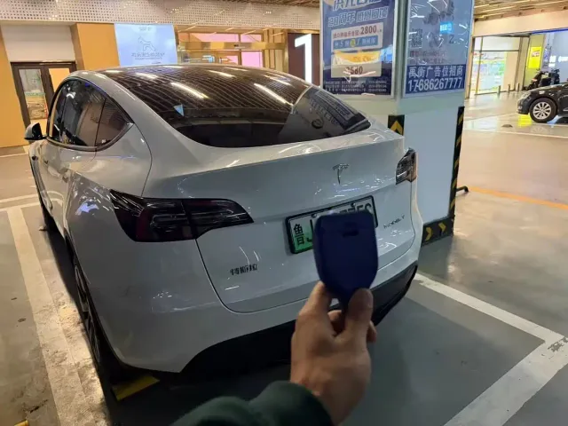 Tesla Model Y — Фото автомобиля 3