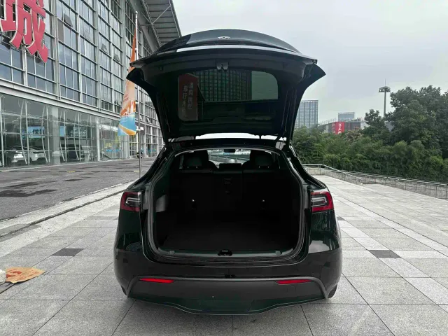 Tesla Model Y — Фото автомобиля 10