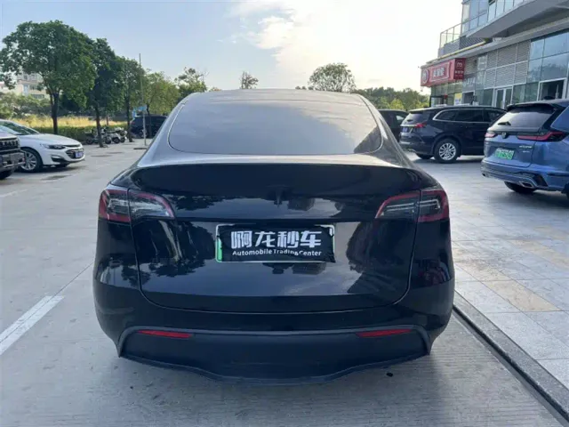 Tesla Model Y — Фото автомобиля 8