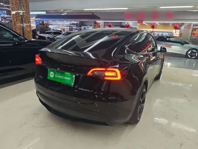 Tesla Model Y — Фото автомобиля 6