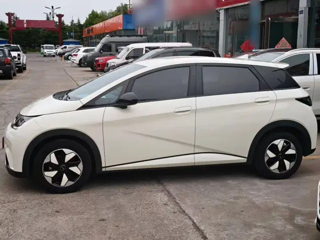 BYD Dolphin — Фото автомобиля 6