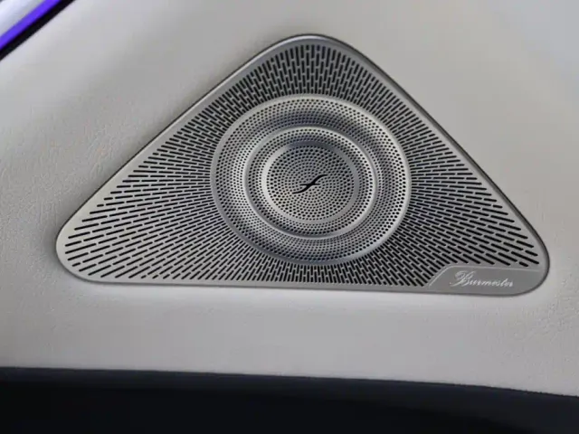 Mercedes-Benz Maybach S-Class — Фото автомобиля 19