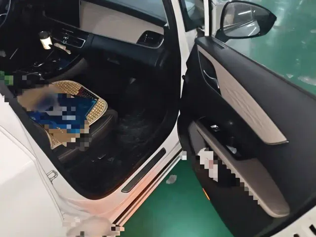 BYD Song MAX — Фото автомобиля 17