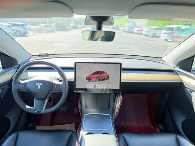Tesla Model Y — Фото автомобиля 9
