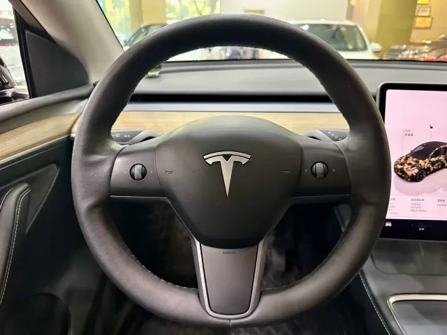 Tesla Model Y — Фото автомобиля 13