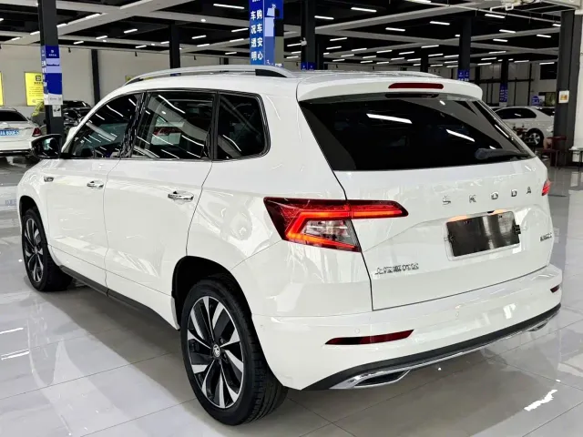 Skoda Karoq — Фото автомобиля 10