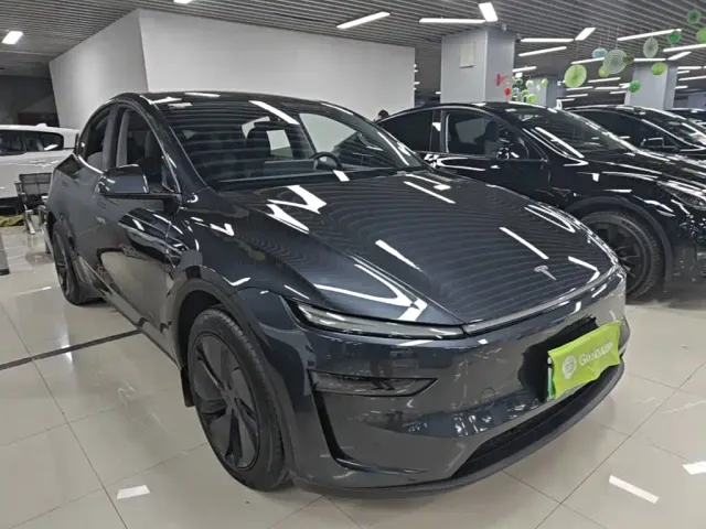 Tesla Model Y — Фото автомобиля 3
