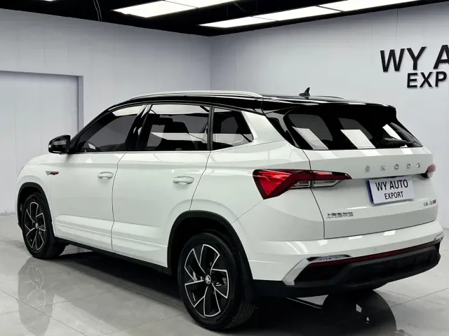 Skoda Kamiq — Фото автомобиля 6