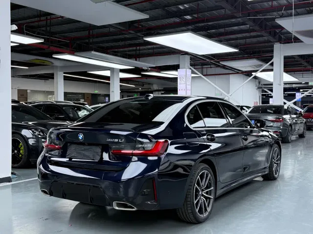 BMW 3 Series — Фото автомобиля 19