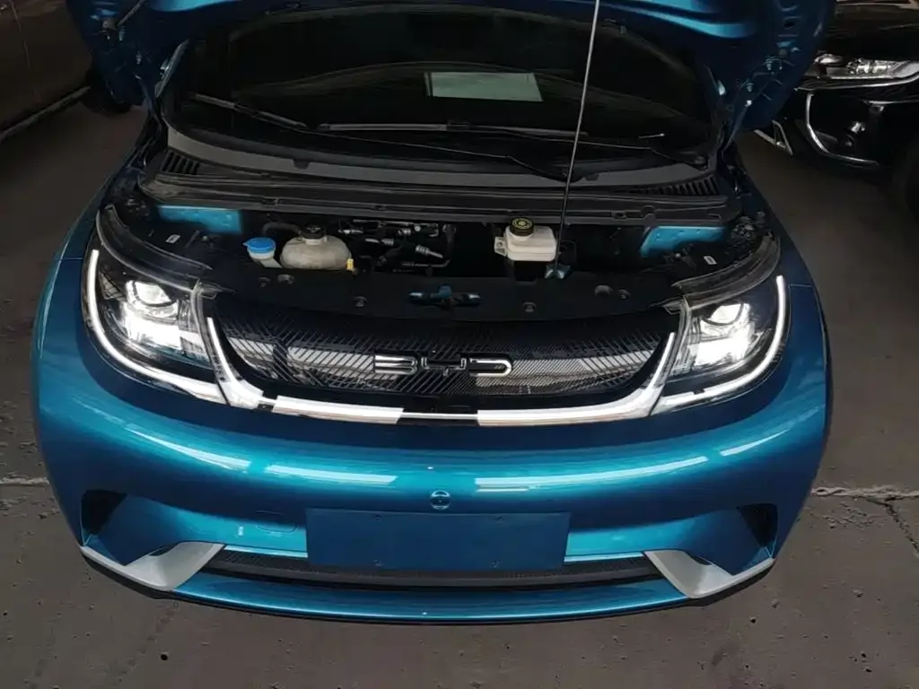 BYD Dolphin 2021 405km Freedom Edition — Фото автомобиля 15