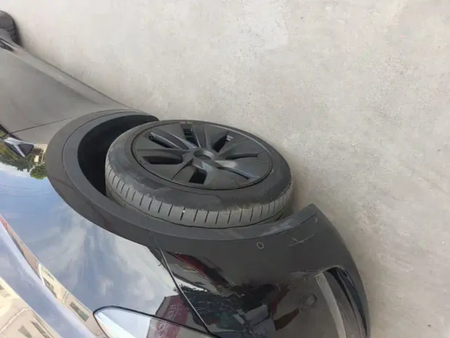 Tesla Model Y — Фото автомобиля 22