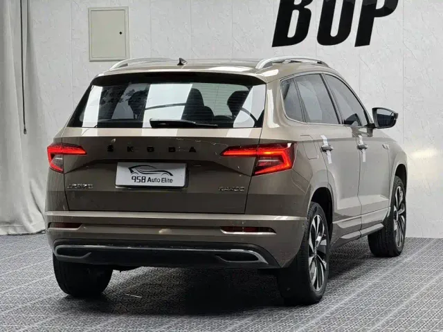 Skoda Karoq — Фото автомобиля 16