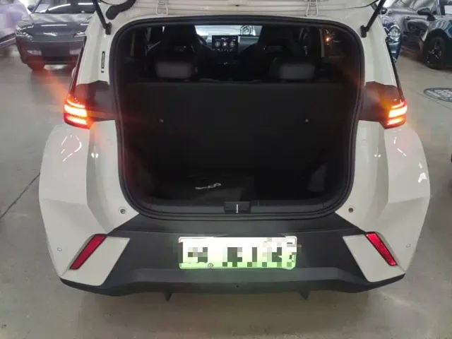 BYD Seagull — Фото автомобиля 18