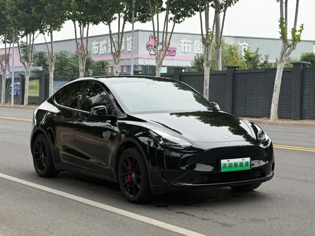 Tesla Model Y — Фото автомобиля 2