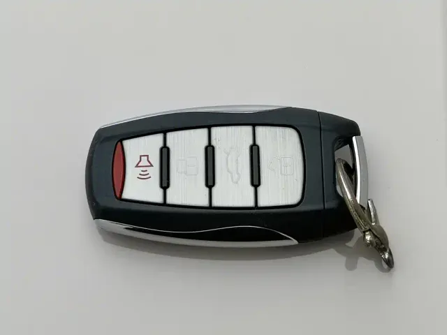 Ora Black Cat — Фото автомобиля 19