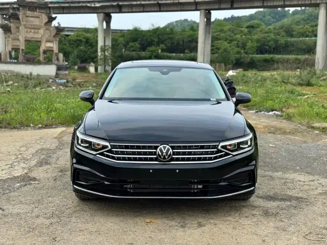 Volkswagen Magotan — Фото автомобиля 2