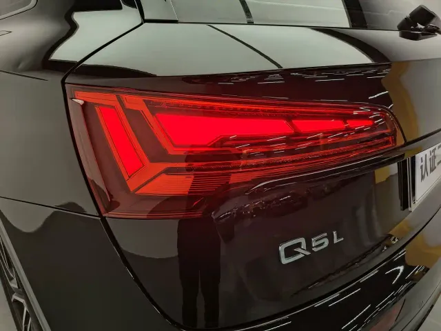 Audi Q5L — Фото автомобиля 19