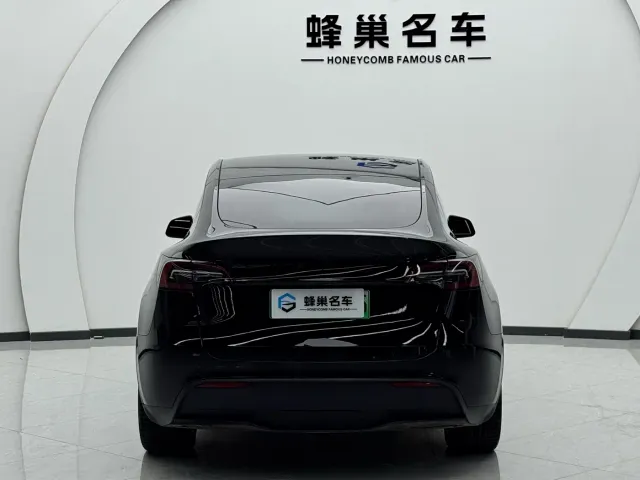 Tesla Model Y — Фото автомобиля 16