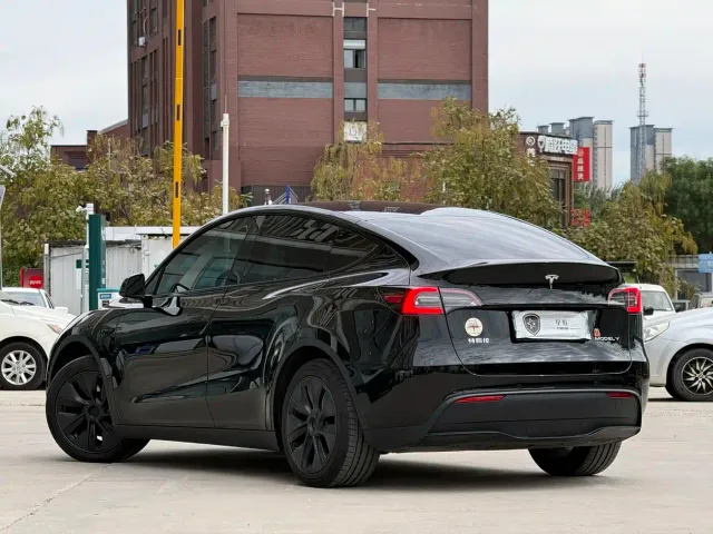 Tesla Model Y — Фото автомобиля 4